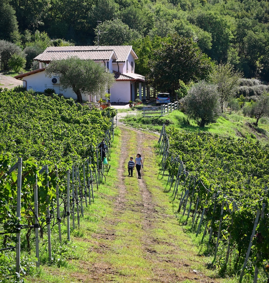 Tenuta Lungarella_evidenza