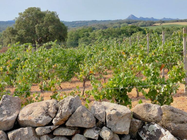 Tenute Gregu_evidenza