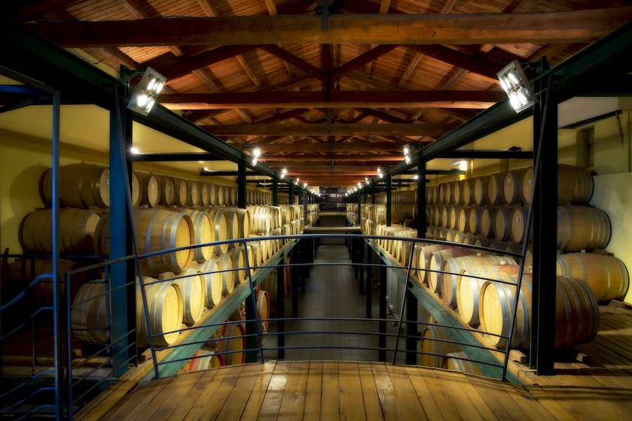 cordero di montezemolo_testo