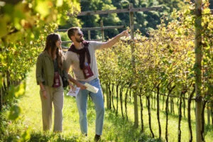 Dolovinimiti_evidenza_2025 - LD (35)