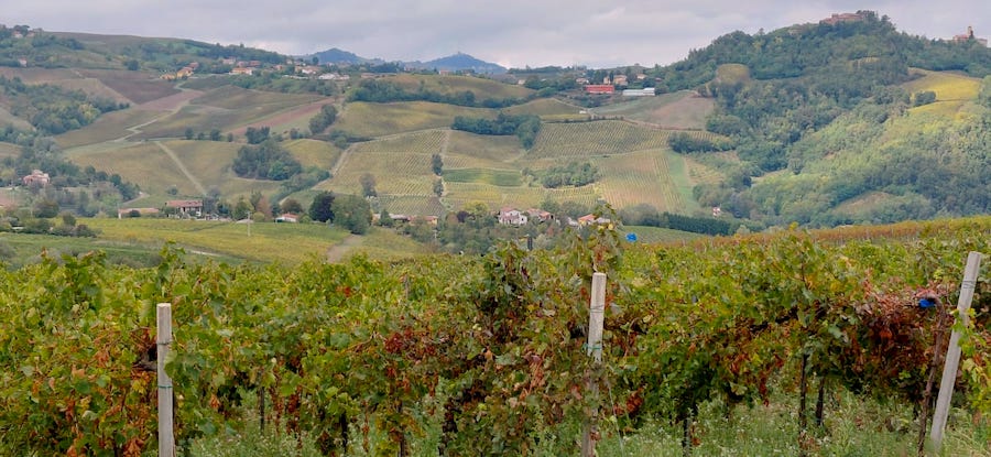 Oltrepò pavese classese_evidenza