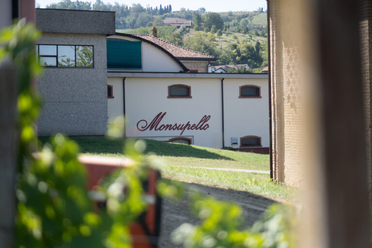 Monsupello_evidenza_azienda (3)