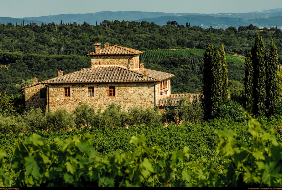 Tenuta di arceno_testo