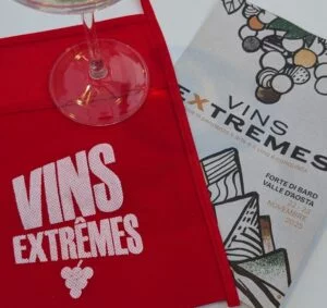Vins Extrêmes 2025_evidenza (12)