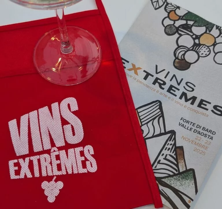 Vins Extrêmes 2025_evidenza (12)