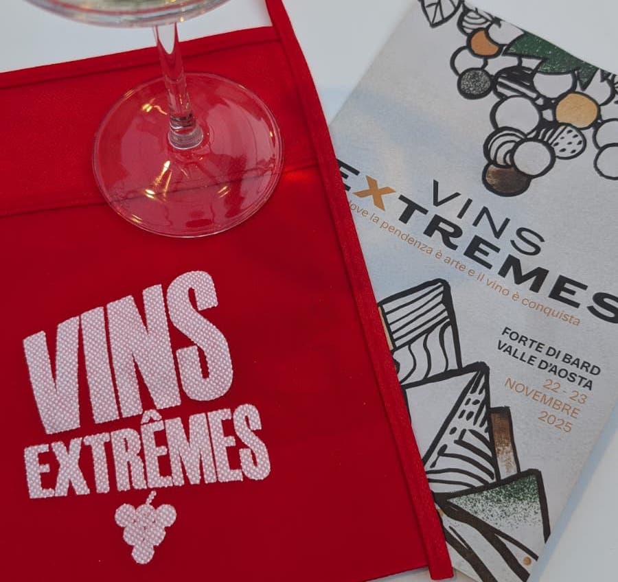 Vins Extrêmes 2025_evidenza (12)
