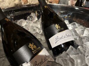 alto adige a torino_evidenza