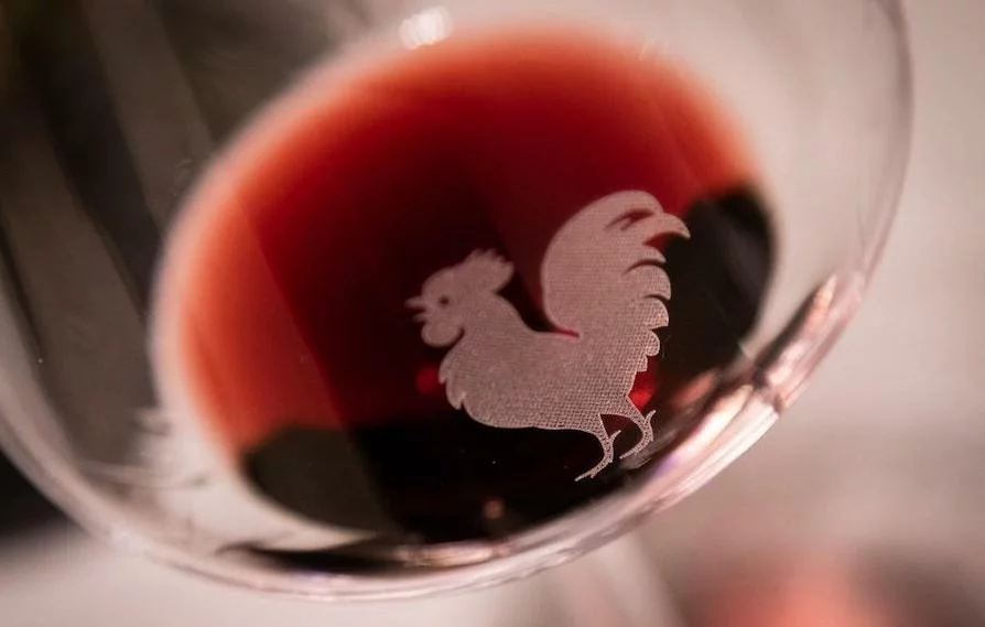 carlotta gori_intervitsa_testo