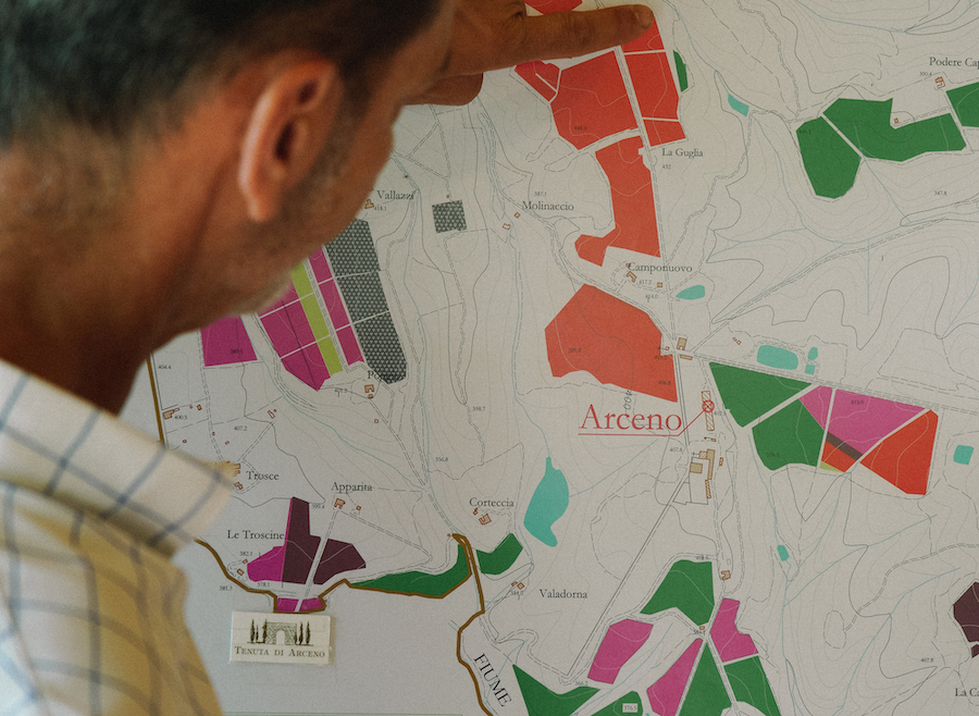 tenuta di arceno_evidenza