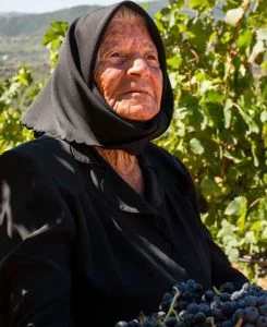 antichi poderi jerzu_evidenza