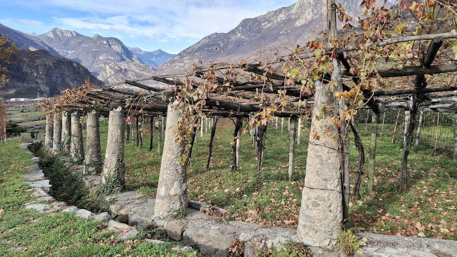 carema video_evidenza_