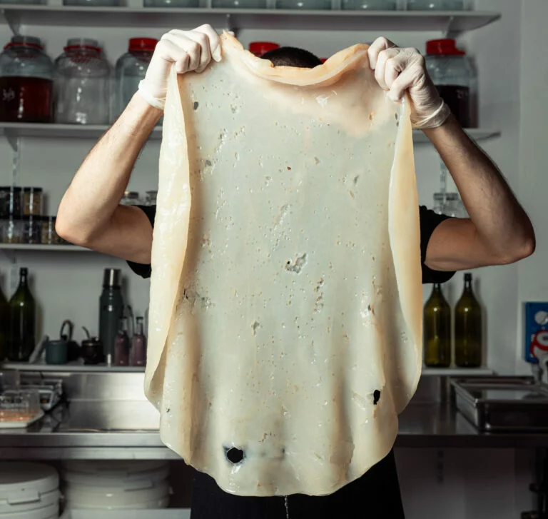 kombucha_evidenza_@FedericoBontempi_Legend Kombucha_brewery(2)