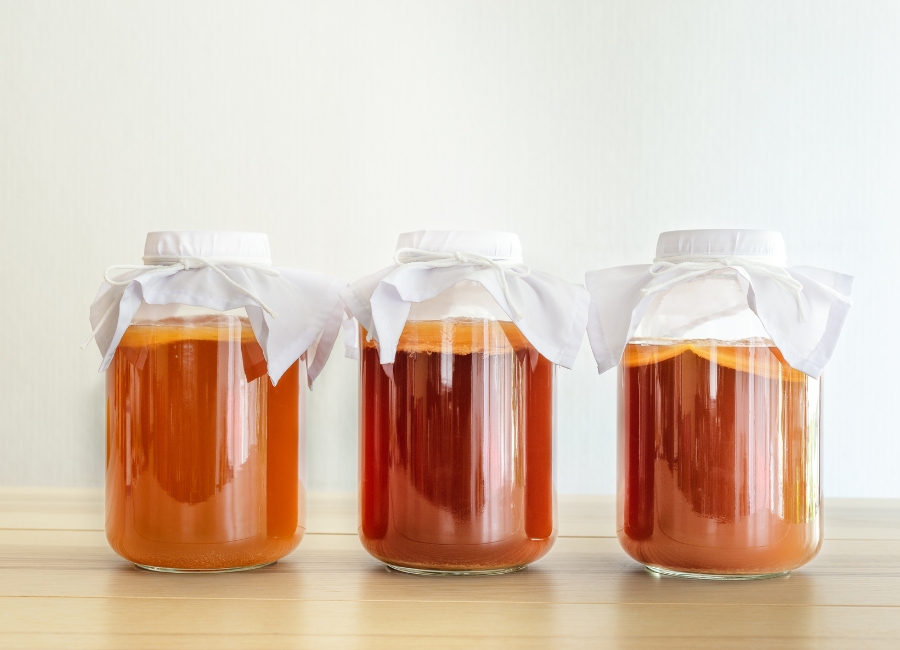 kombucha_testo