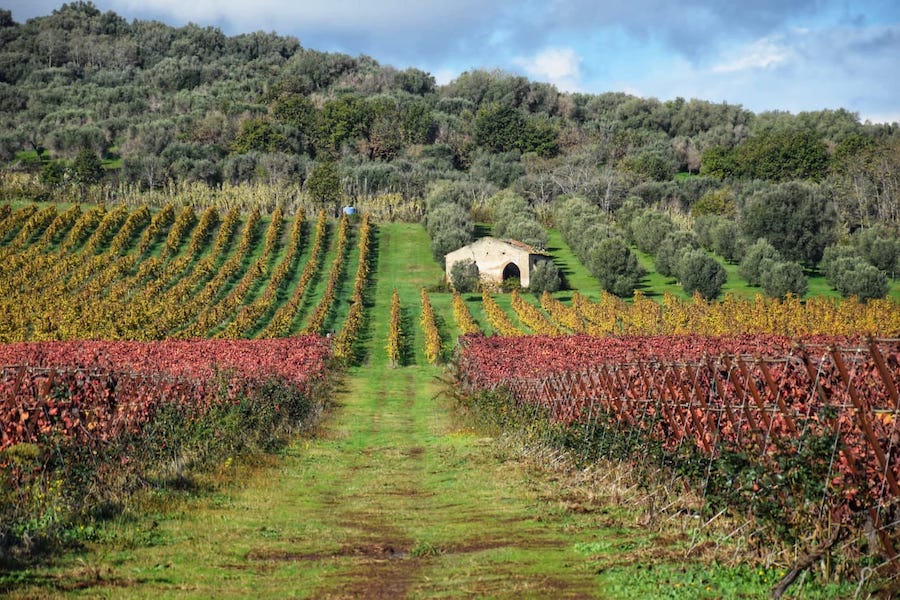 Costa degli dei_evidenza_Casa Comerci