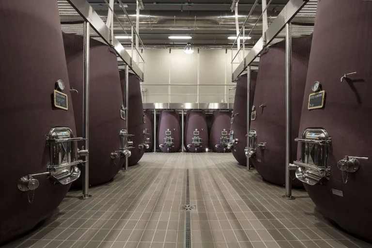 Viandante del cielo_evidenza:testo