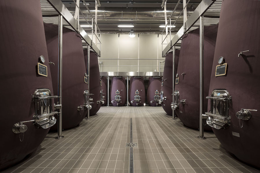 Viandante del cielo_evidenza:testo