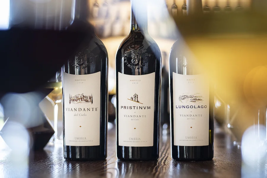 Viandante del cielo_testo_I VINI