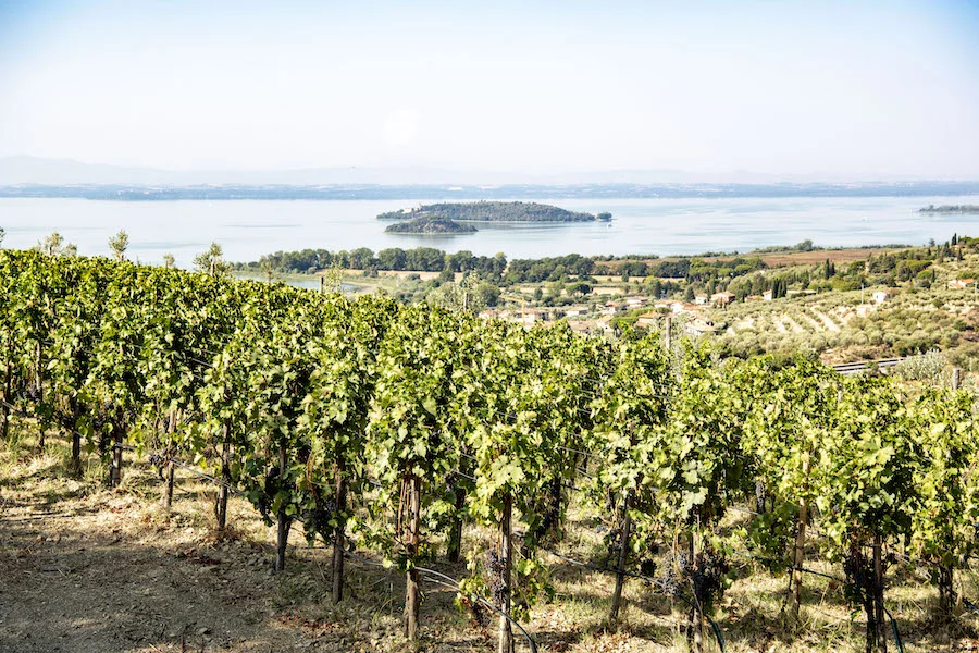 Viandante del cielo_testo_VIGNETI