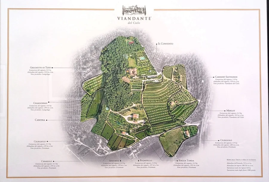 Viandate del cielo_testo_MAPPA DEI VIGNETI