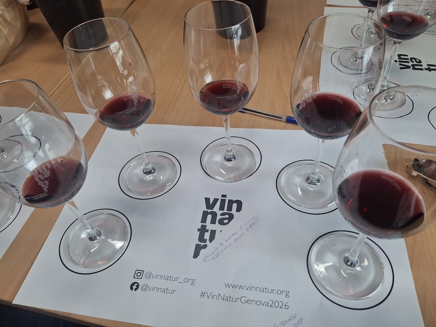 VinNature_masterclass_testo