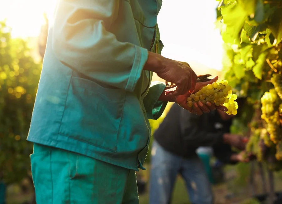 agenda 2030 sgds_testo 4