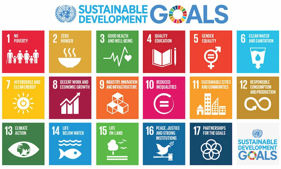 agenda-2030_sdg17_paolo-manna_sostenibilita