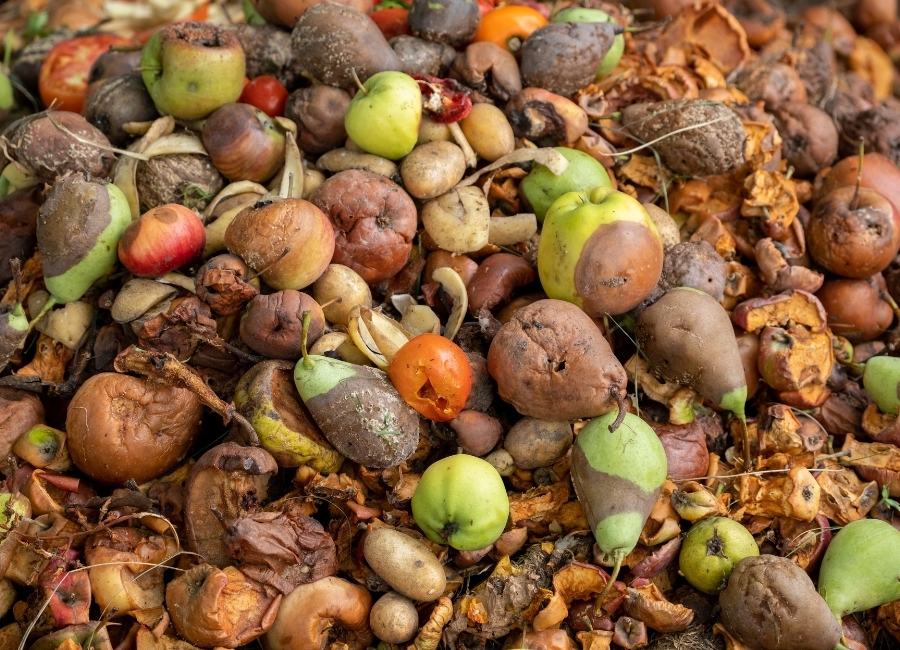 spreco-alimentare_evidenza