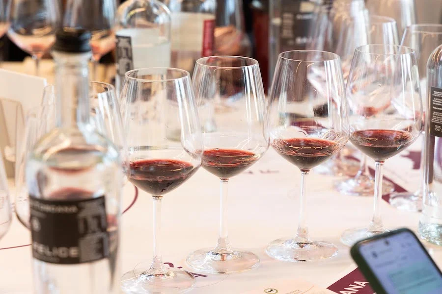 ALTRA TOSCANA 26_testo