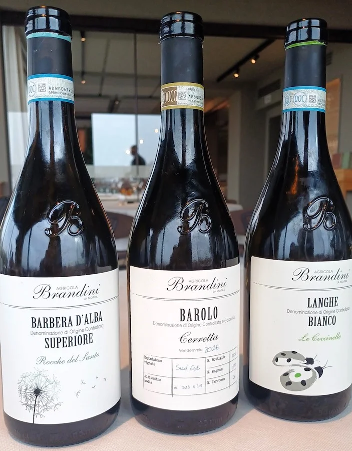 Agricola Brandini_vini_testo