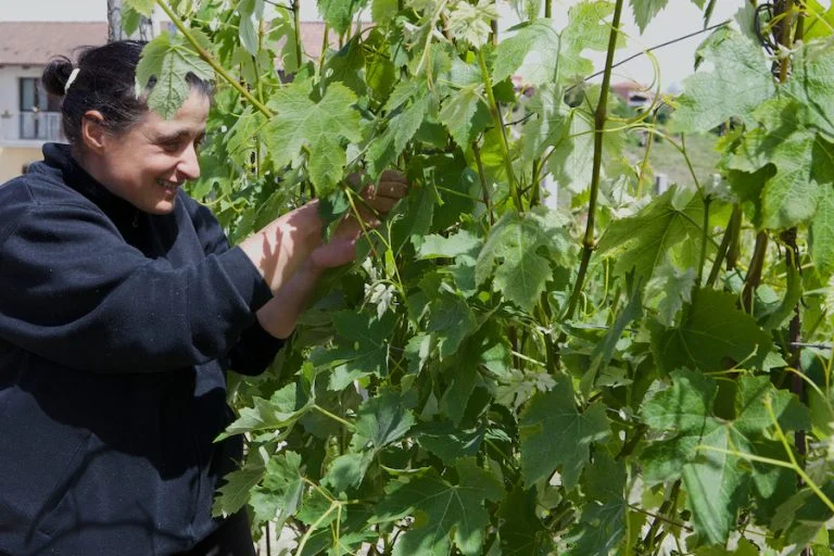 Ornella Pelissero_evidenza (1)