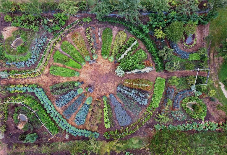 Permacultura_evidenza_fattoria francese_creditsgioca permacultura_