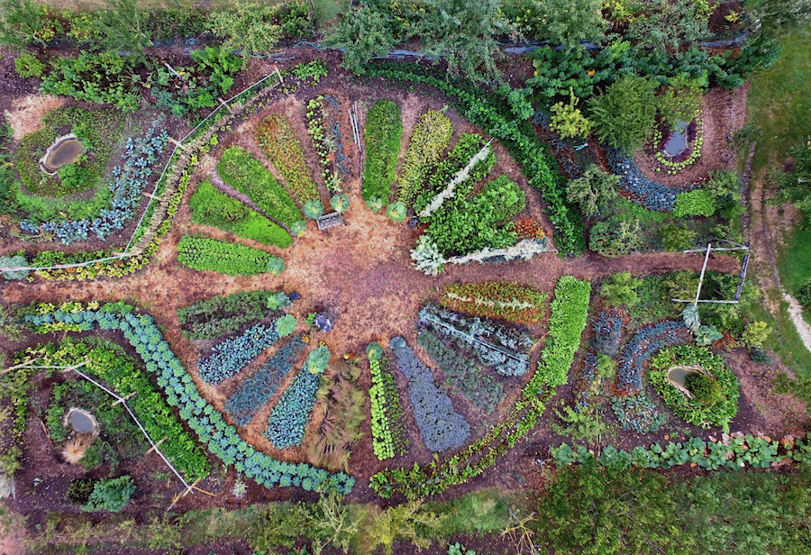 Permacultura_evidenza_fattoria francese_creditsgioca permacultura_