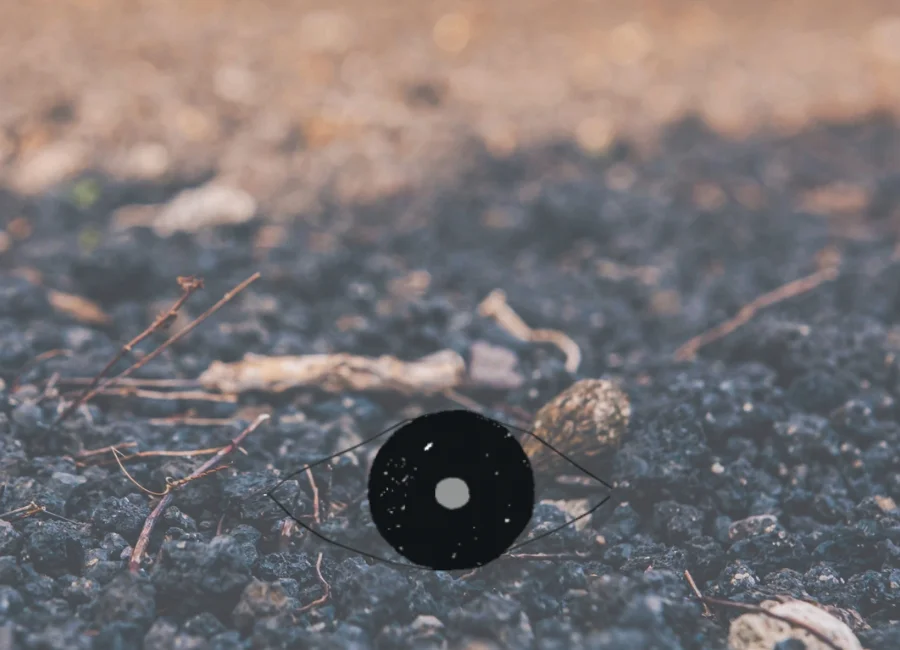 casa setaro_evidenza