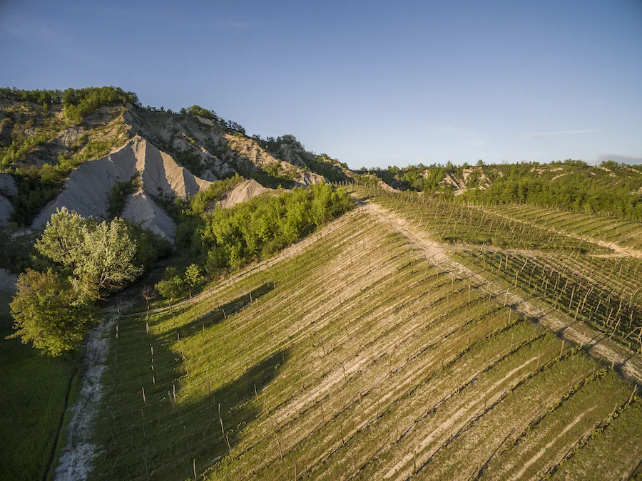 terre di sarizzola_testo