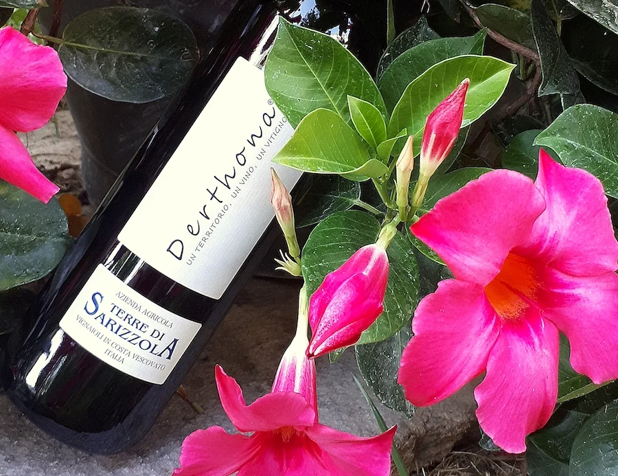 terre di sarizzola_testo_vino