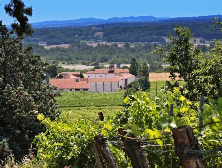 Cantine romagnoli_evidenza_Foto azienda