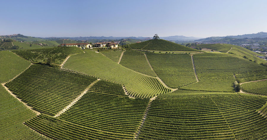 Langhe Doc_testo