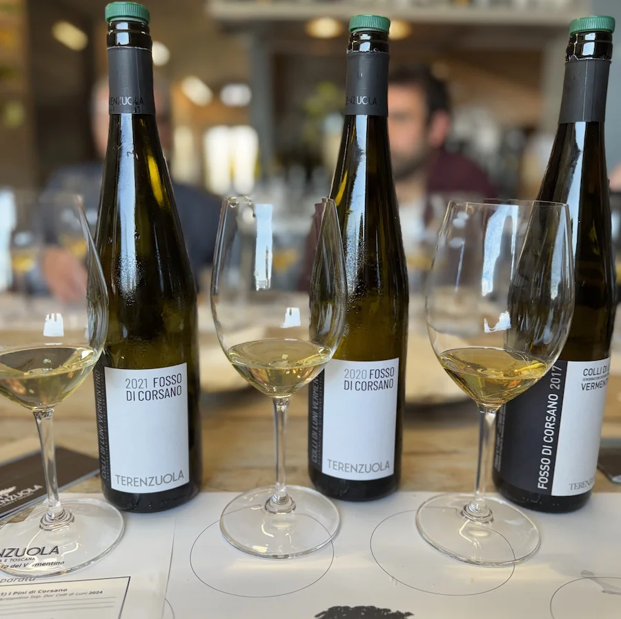 Terenzuola_Fosso di Corsano - verticale