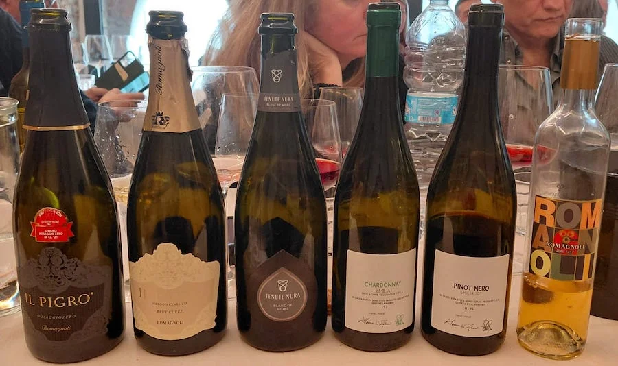 cantine romagnoli_degustazione_testo