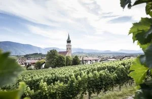 Cantina Sankt Pauls_evidenza_vigneti a San Paolo 3 ©AlexFilz