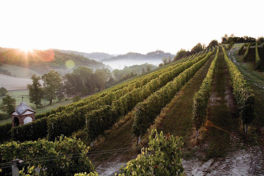 anteprima grignolino 2026_testo5