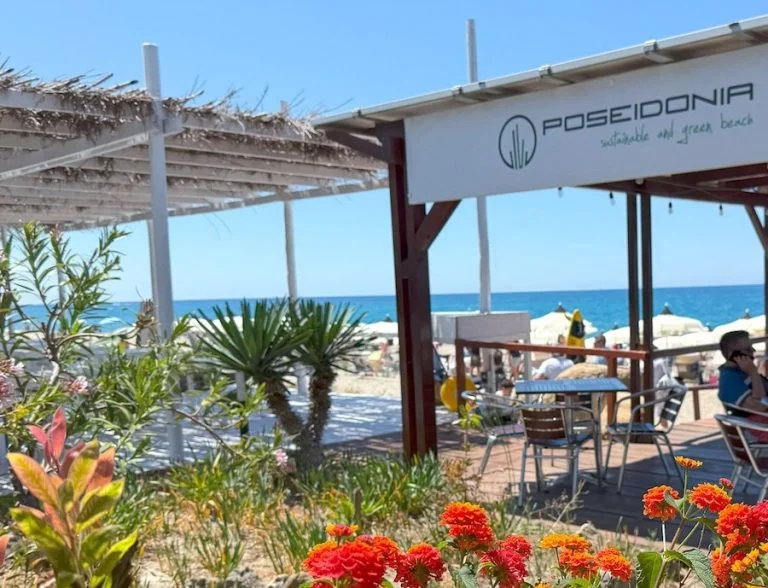 Spiaggie sostenibili_evidenza_Poseidonia
