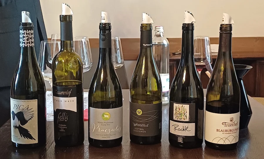 fiè di scillar_testo_wine talk
