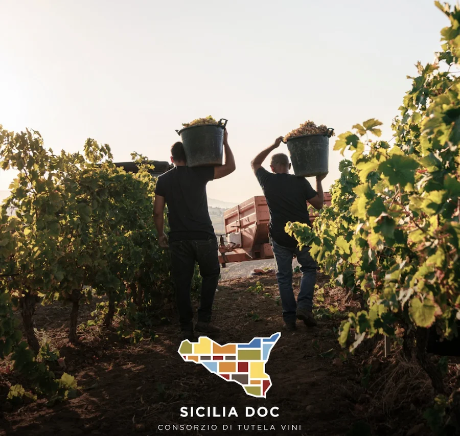 sicilia doc_testo_2