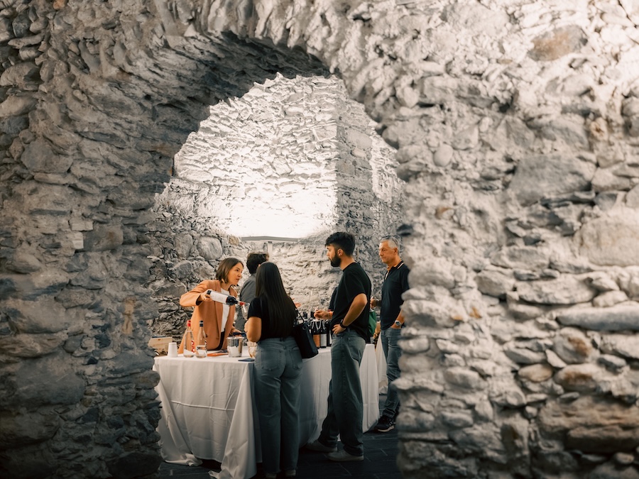 ViVa-Valtellina_evidenza-1