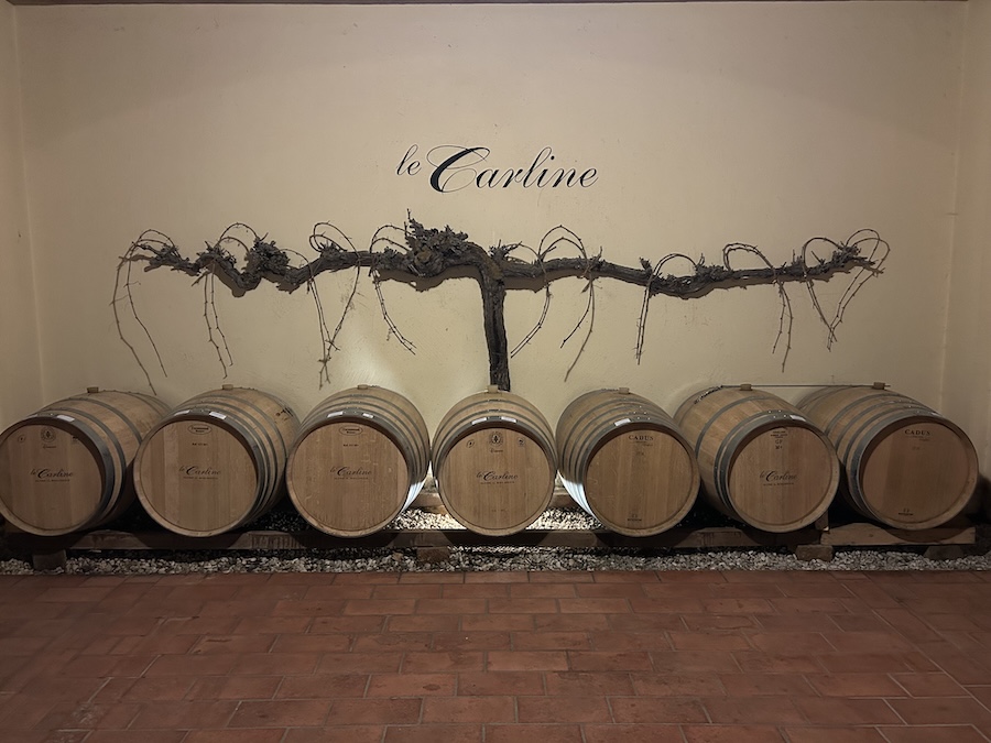 le carline - doc venezia- testo