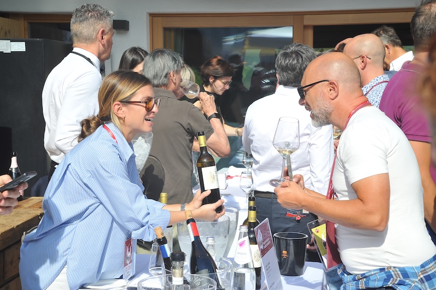 vinovip 2026_testo