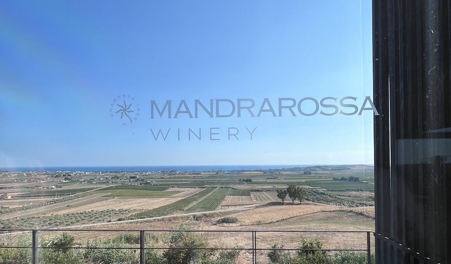 mandrarossa winery_teso3