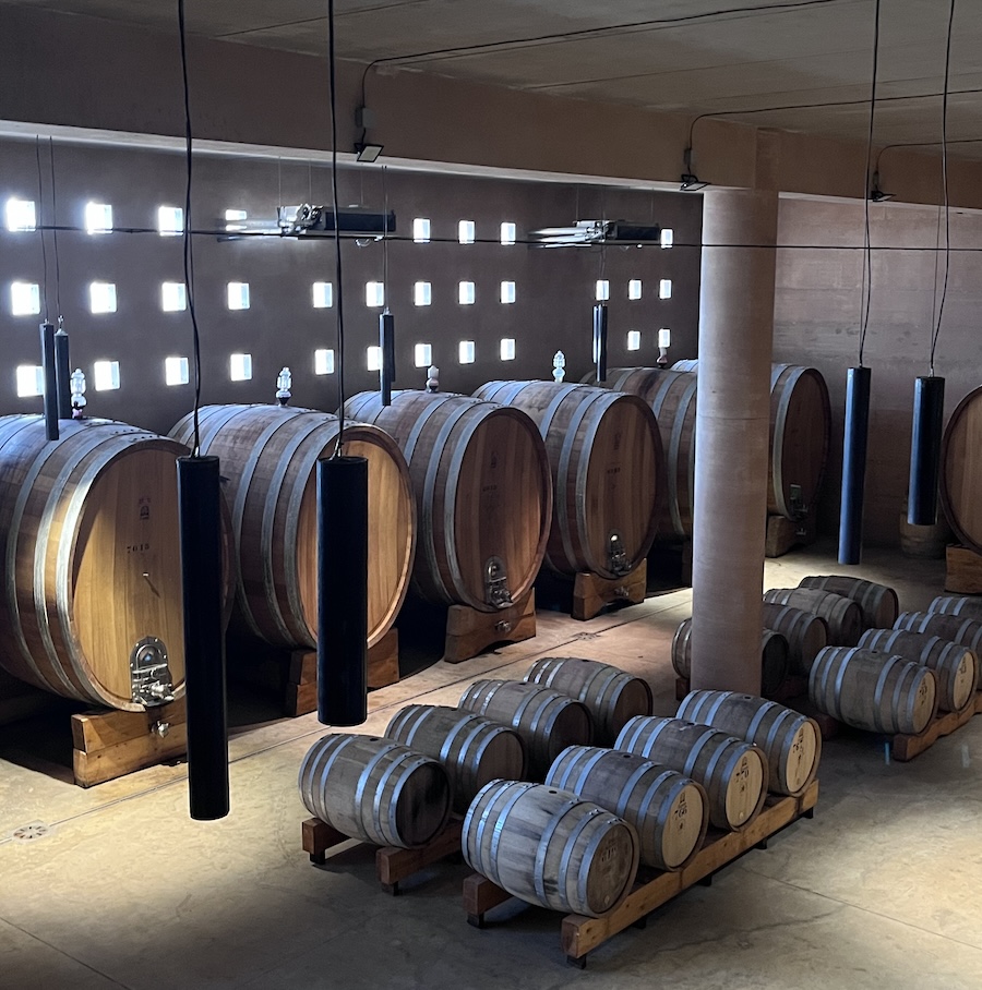 mandrarossa winery_testo