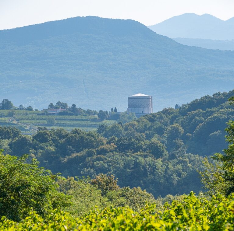 Collio Evolution2026_2_evidenza_pinot grigio